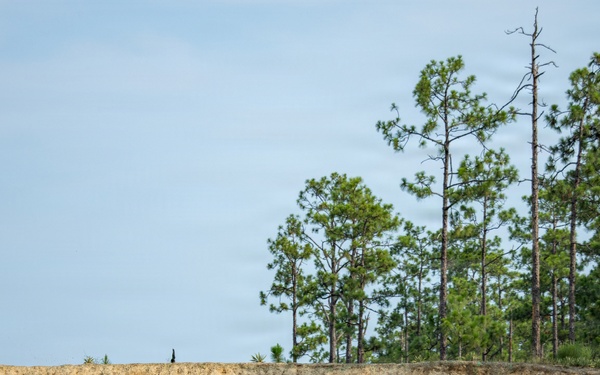 7th SFG(A) Soldiers build lethality during special reconnaissance program of instruction