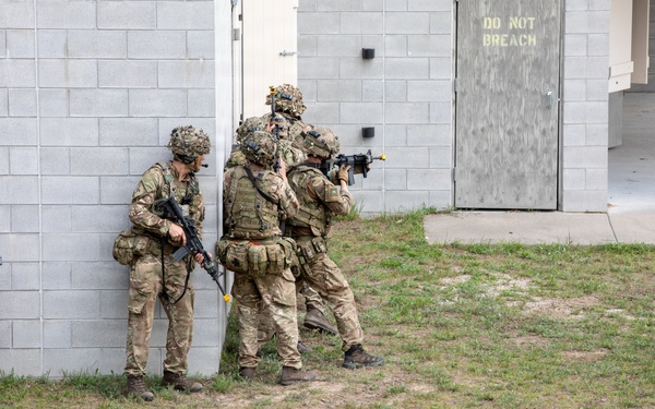 3rd Battalion, Princess of Wales Royal Regiment Defense and Medevac Training