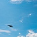 Mighty moose over the NY Air Show