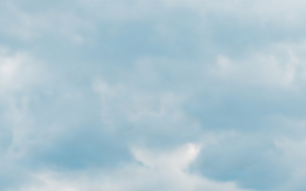 Mighty moose over the NY Air Show