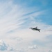 From the skies of the NY Air Show