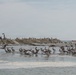 USACE Baltimore Launches First Phase of James Island Restoration