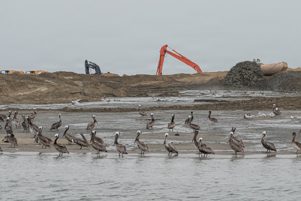 USACE Baltimore Launches First Phase of James Island Restoration
