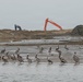 USACE Baltimore Launches First Phase of James Island Restoration