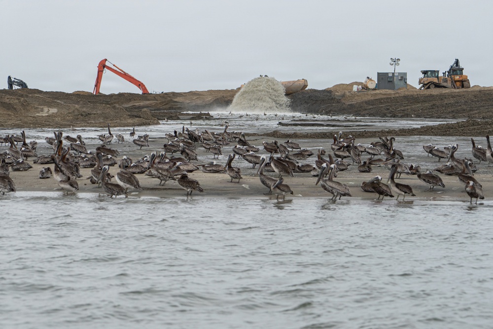 USACE Baltimore Launches First Phase of James Island Restoration