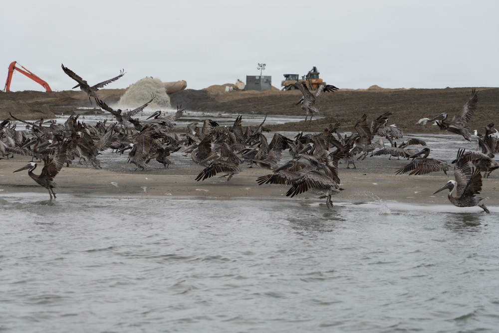 USACE Baltimore Launches First Phase of James Island Restoration