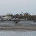 USACE Baltimore Launches First Phase of James Island Restoration