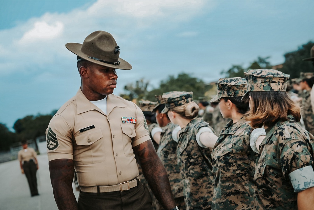 Charlie Company Final Drill