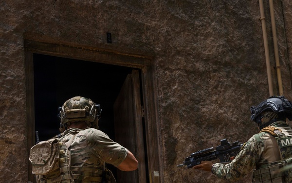 The image shows a military or law enforcement tactical team conducting a building entry/clearing operation. Personnel wearing different camouflage patterns are visible, with at least one operator identified by a 'MARINA' patch, indicating Mexican Navy (Armada de México) personnel. The team appears to be executing a coordinated breach and entry through a doorway of a structure.