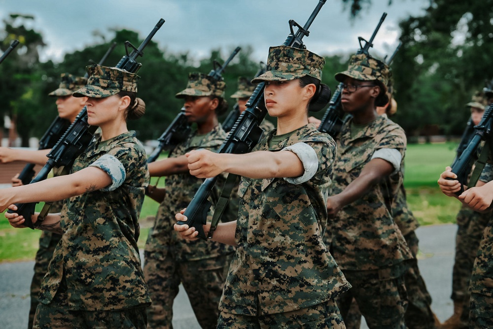 Charlie Company Final Drill