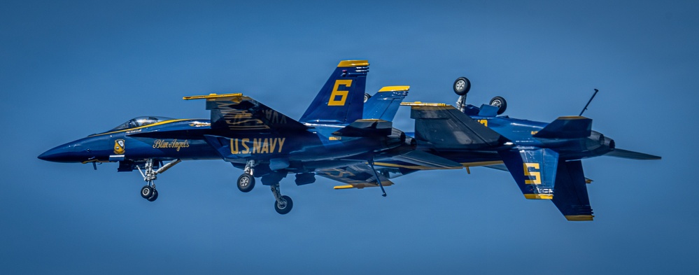 The image shows multiple U.S. Navy Blue Angels F/A-18 Hornet jets flying in extremely close formation against a clear blue sky. The aircraft display their iconic navy blue and gold color scheme with visible aircraft numbers 5 and 6, along with 'Blue Angels' and 'U.S. Navy' markings. Landing gear appears to be deployed on at least one aircraft, suggesting a low-speed airshow maneuver.