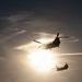 Chinooks Into the Sun