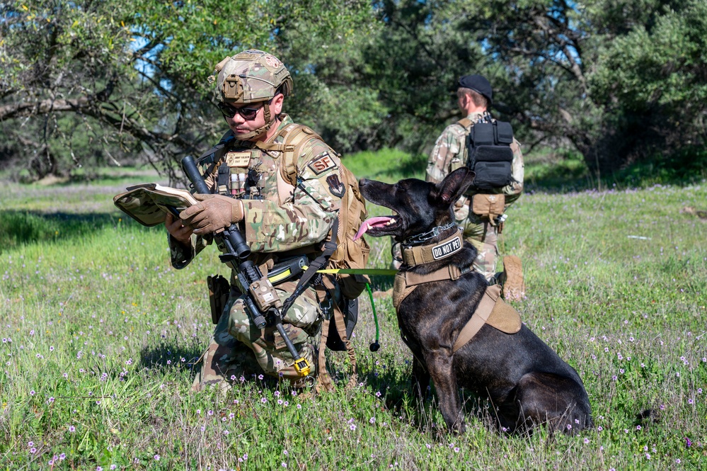 K-9 Training