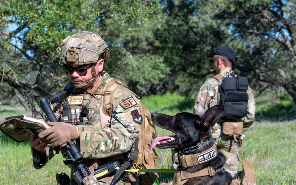 K-9 Training