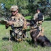 K-9 Training