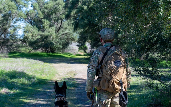 K-9 Training