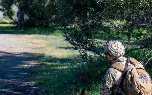 K-9 Training
