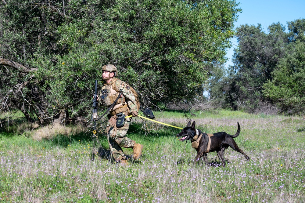 K-9 Training