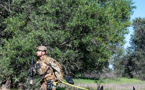 K-9 Training