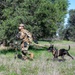 K-9 Training