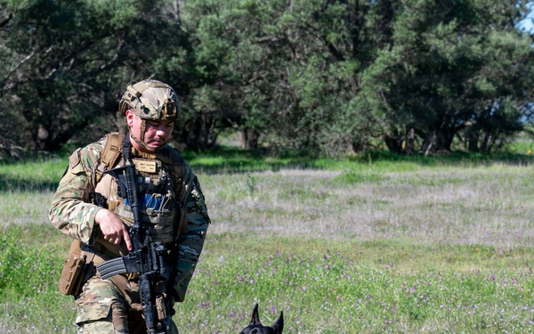 K-9 Training