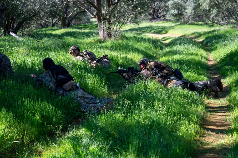 K-9 Training