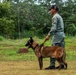 Joint Task Force-Bravo conducts military working dogs bilateral training with Panama’s Policía Nacional