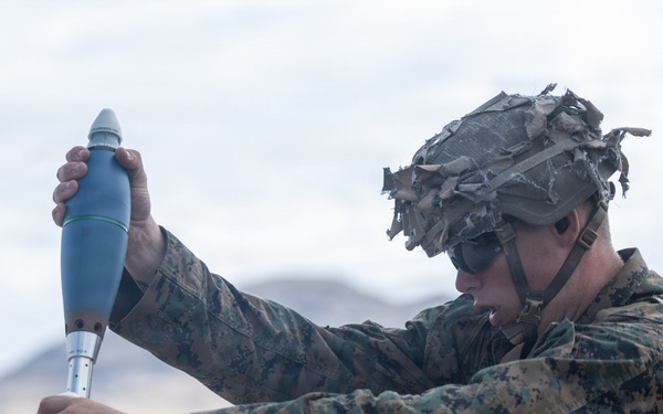 U.S. Marines with 2nd Bn., 1st Marines, hold live-fire ranges