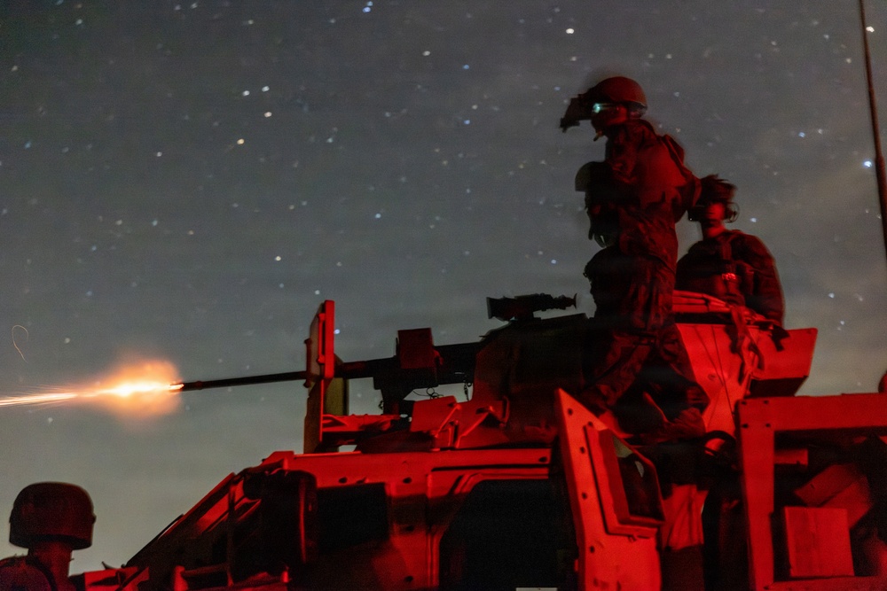 U.S. Marines with 2nd Bn., 1st Marines, hold live-fire ranges