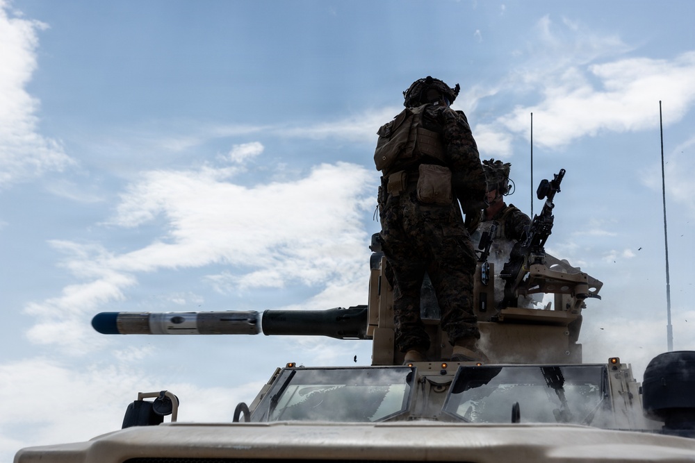 U.S. Marines with 2nd Bn., 1st Marines, hold live-fire ranges