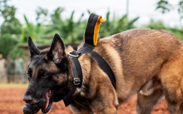Joint Task Force-Bravo conducts military working dogs bilateral training with Panama’s Policía Nacional