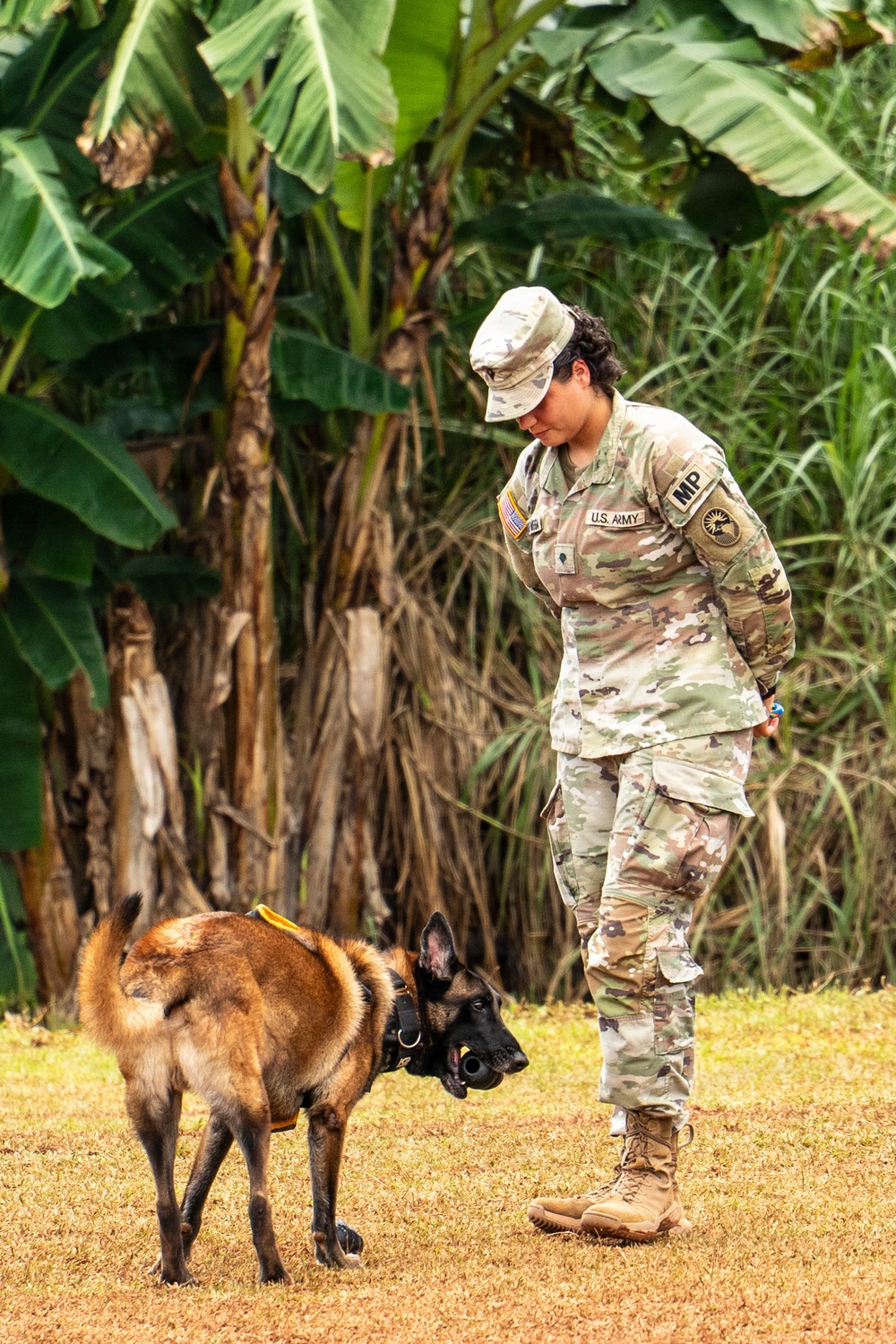 Joint Task Force-Bravo conducts military working dogs bilateral training with Panama’s Policía Nacional