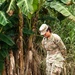 Joint Task Force-Bravo conducts military working dogs bilateral training with Panama’s Policía Nacional