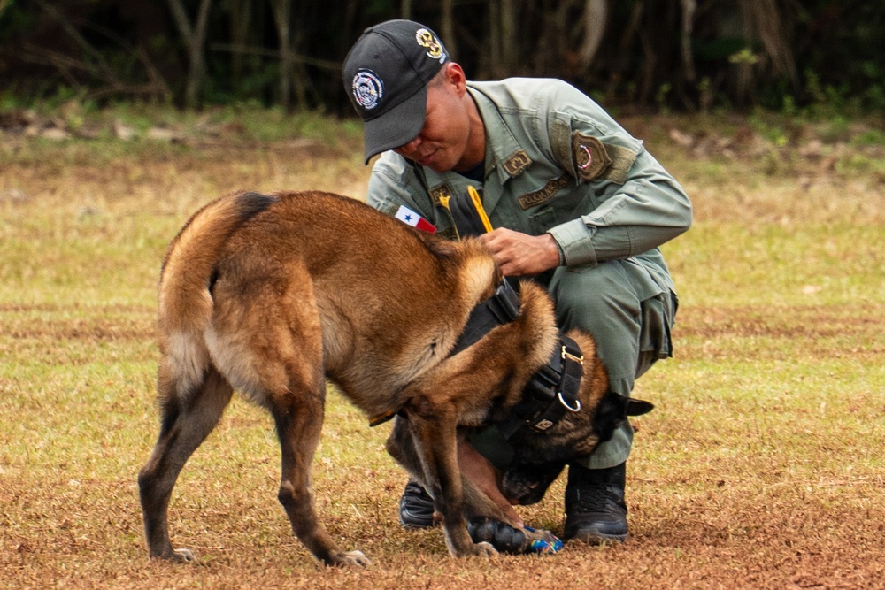 Joint Task Force-Bravo conducts military working dogs bilateral training with Panama’s Policía Nacional