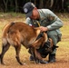 Joint Task Force-Bravo conducts military working dogs bilateral training with Panama’s Policía Nacional