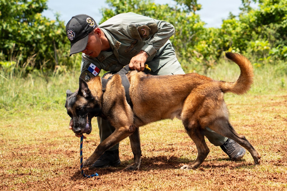 Joint Task Force-Bravo conducts military working dogs bilateral training with Panama’s Policía Nacional