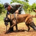 Joint Task Force-Bravo conducts military working dogs bilateral training with Panama’s Policía Nacional