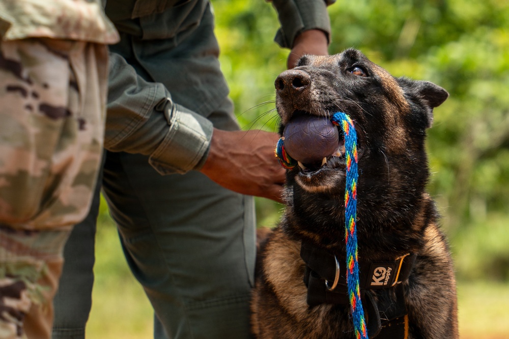 Joint Task Force-Bravo conducts military working dogs bilateral training with Panama’s Policía Nacional