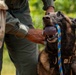 Joint Task Force-Bravo conducts military working dogs bilateral training with Panama’s Policía Nacional