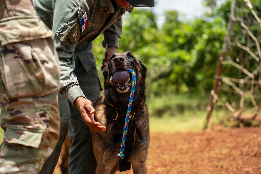 Joint Task Force-Bravo conducts military working dogs bilateral training with Panama’s Policía Nacional