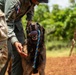 Joint Task Force-Bravo conducts military working dogs bilateral training with Panama’s Policía Nacional