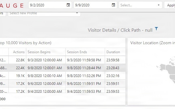 Site Gauge - Visitor Details