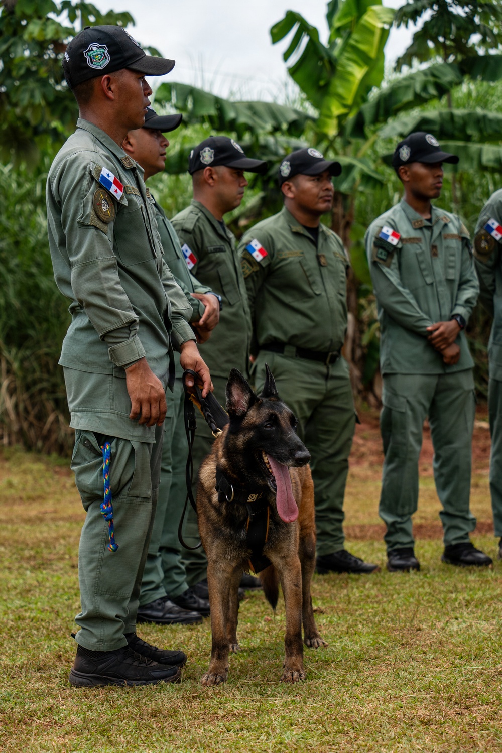 Joint Task Force-Bravo conducts military working dogs bilateral training with Panama’s Policía Nacional