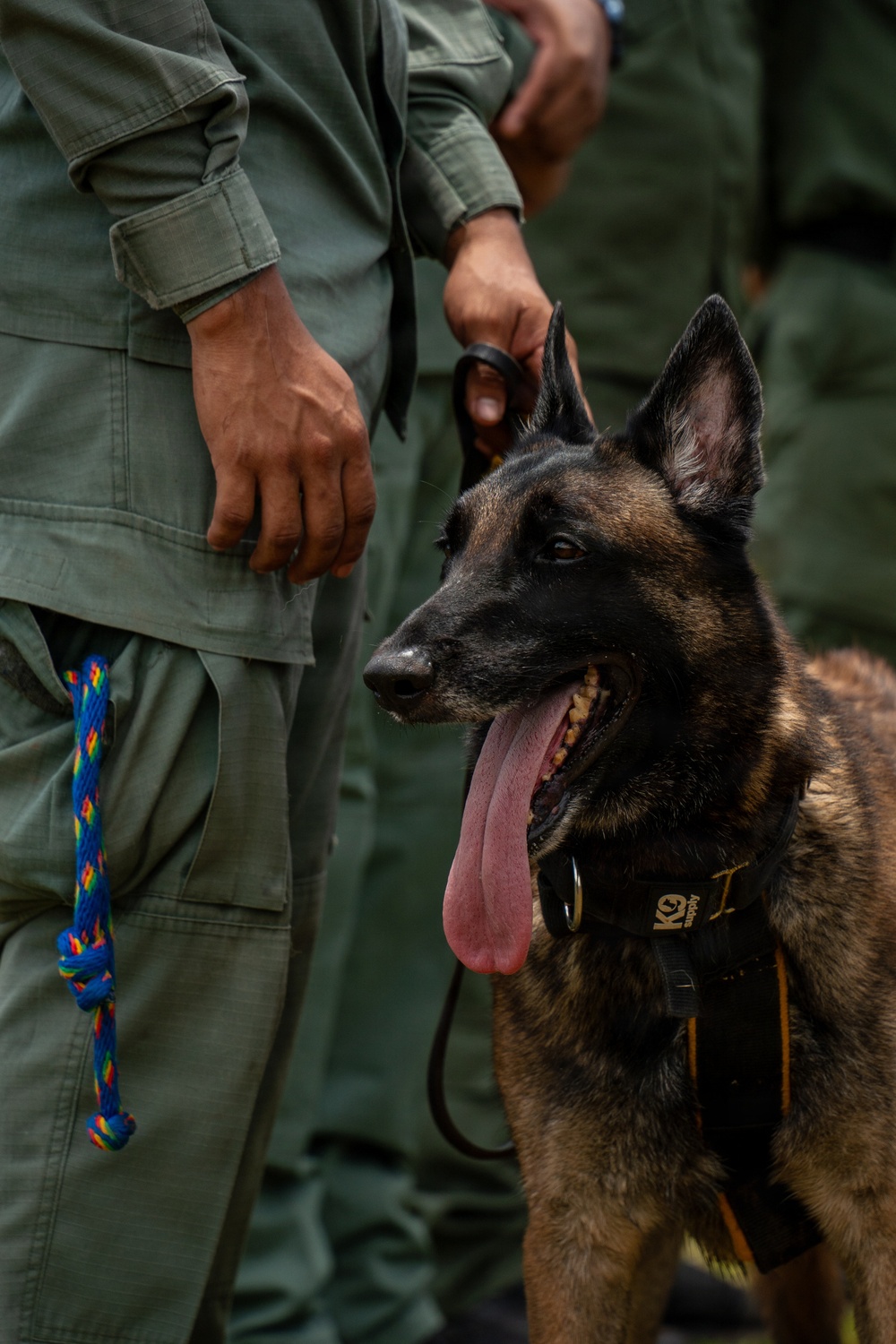 Joint Task Force-Bravo conducts military working dogs bilateral training with Panama’s Policía Nacional