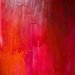 Red Background