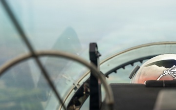 Fly High