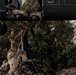 Illinois Army National Guard Black Hawk Crew Conducts Sling Load Resupply at Camp Grayling