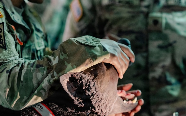 Illinois Army National Guard Medics Train in Lifesaving Canine Casualty Care
