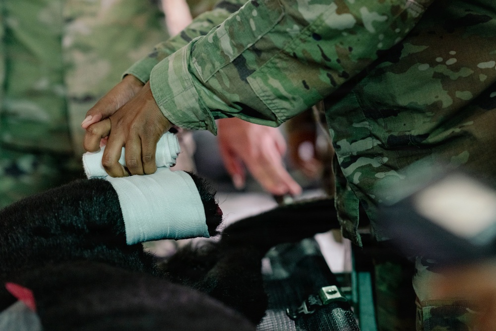 Illinois Army National Guard Medics Train in Lifesaving Canine Casualty Care