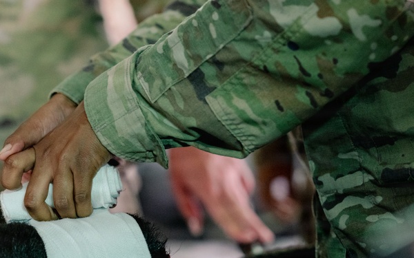 Illinois Army National Guard Medics Train in Lifesaving Canine Casualty Care